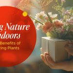 Gifting Plants