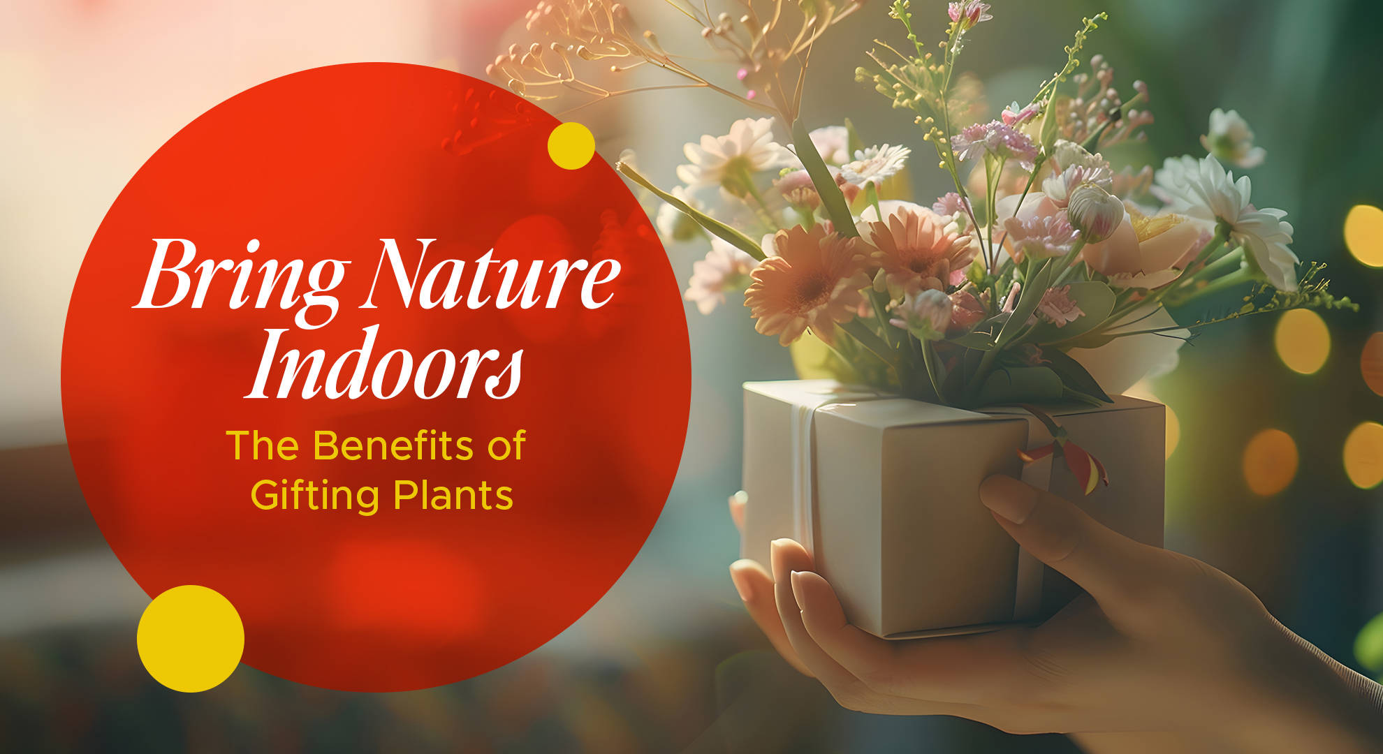 Bring Nature Indoors – The Benefits of Gifting Plants